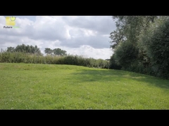 แผงโซลาร์เซลล์ไอบีซี